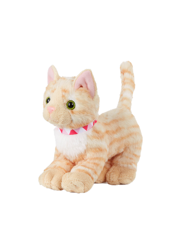 Zabawkowy kociak ze smyczą american shorthair kitten