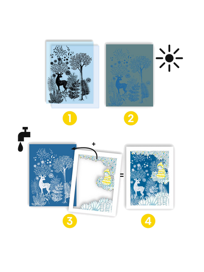 Zestaw artystyczny cyjanotypia Djeco BÉBÉ Concept 