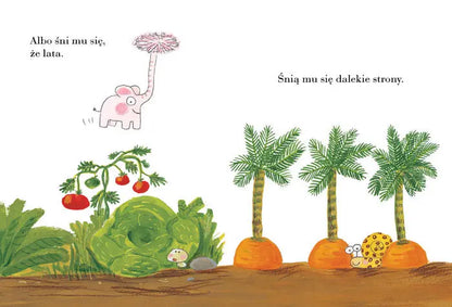 Pomelo śni Wydawnictwo Zakamarki BÉBÉ Concept