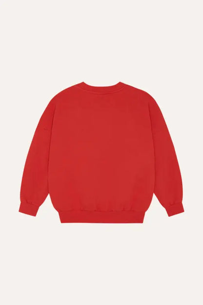 Reading Lion Sweatshirt The Campamento BEBE Concept 