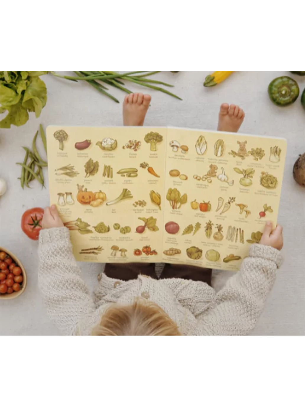 Słownik obrazkowy polsko-angielski Wydawnictwo SAM BÉBÉ Concept 