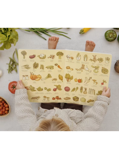 Słownik obrazkowy polsko-angielski Wydawnictwo SAM BÉBÉ Concept 