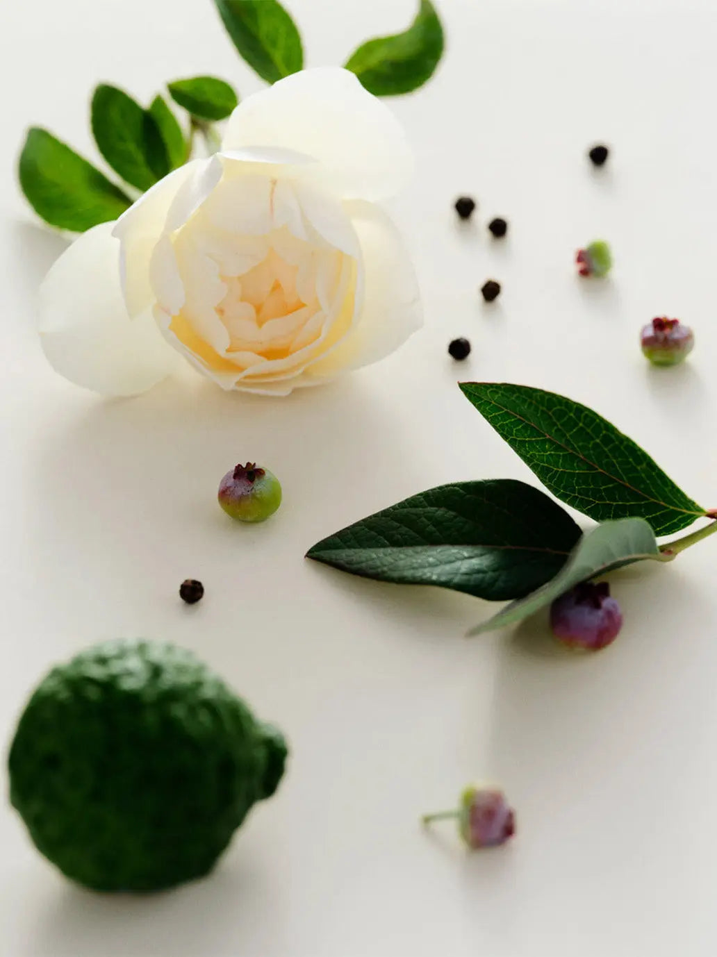 Woda perfumowana Cassis Maison Louis Marie BEBE Concept 