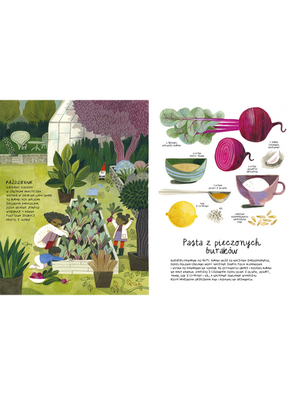 Przepisy z balkonu i ogródka Wydawnictwo Kropka BÉBÉ Concept