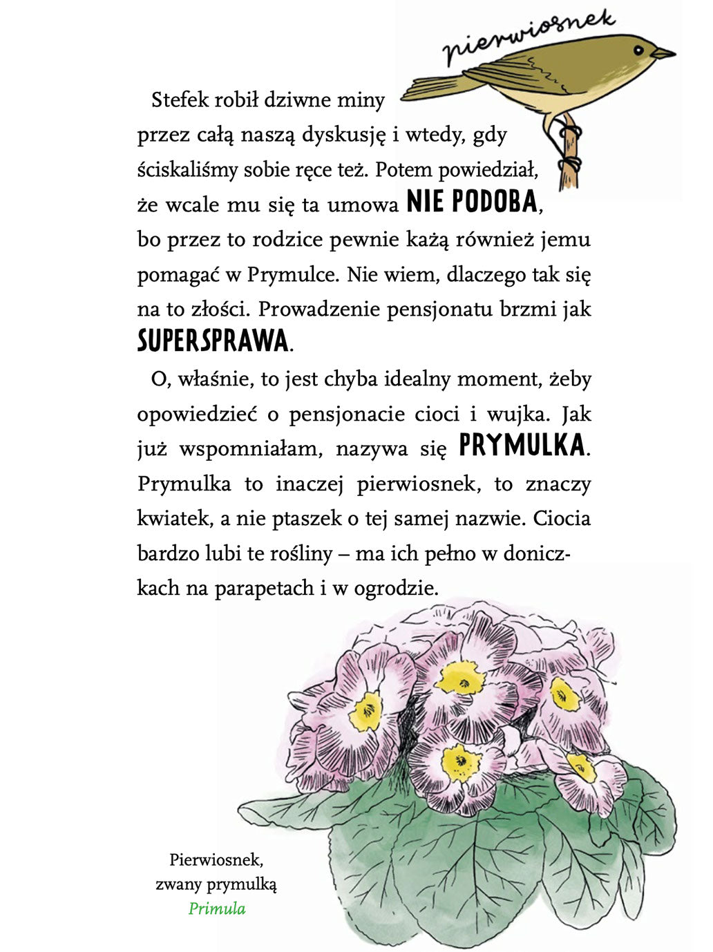 Gaja z Gajówki - Zagadka opuszczonej wsi Wydawnictwo Świetlik BÉBÉ Concept 