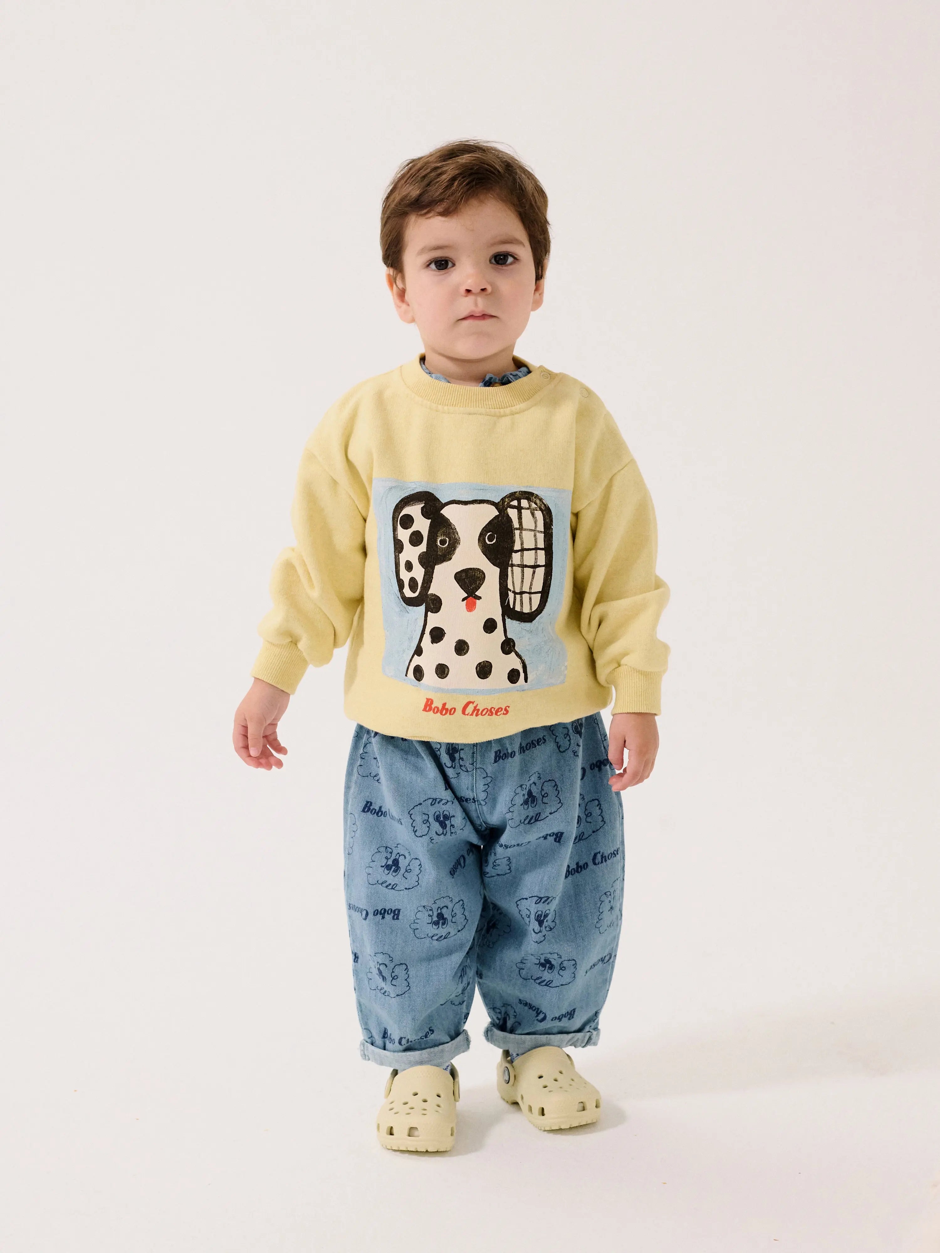Bluza Van Dog sweartshirt Bobo Choses BEBE Concept 