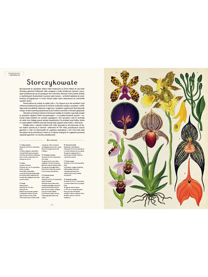 W Muzeum. Botanicum Wydawnictwo Dwie Siostry BÉBÉ Concept