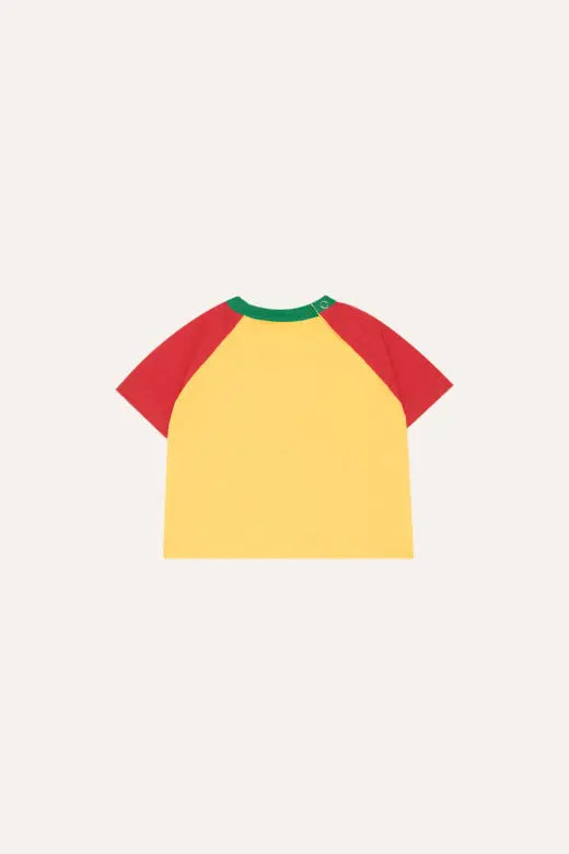 Reading Lion Baby Tshirt The Campamento BEBE Concept 