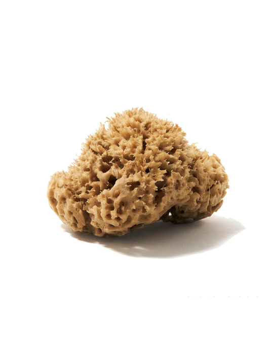 Přírodní mořská houba