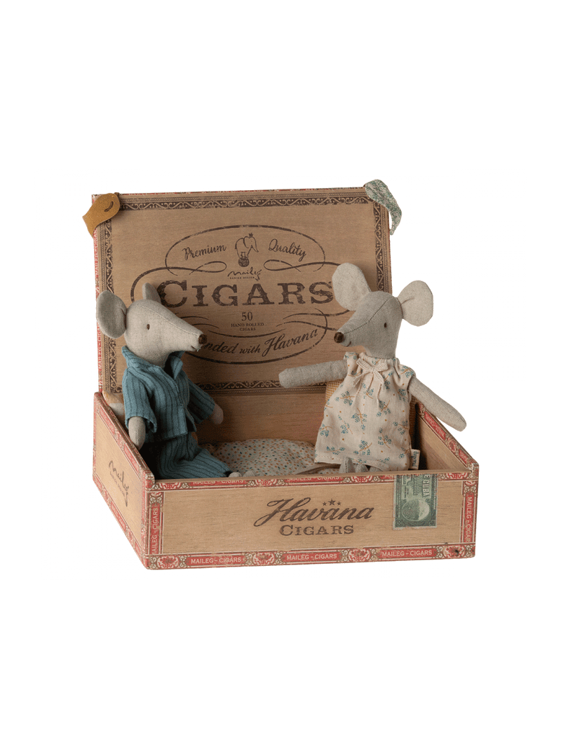 мама і тато мишка в сигарній коробці