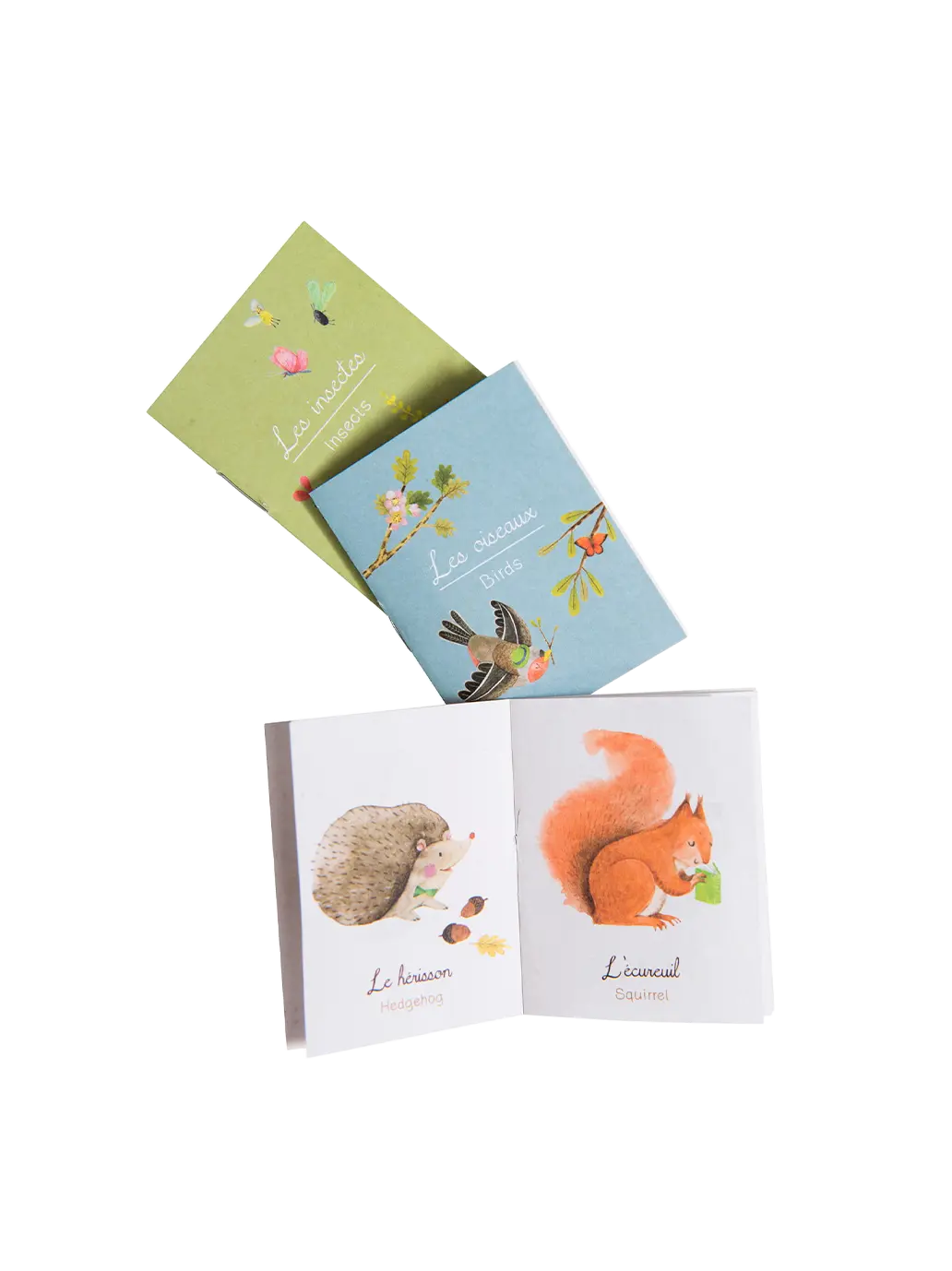 latarka projektor z książeczkami Le Jardin Moulin Roty BÉBÉ Concept