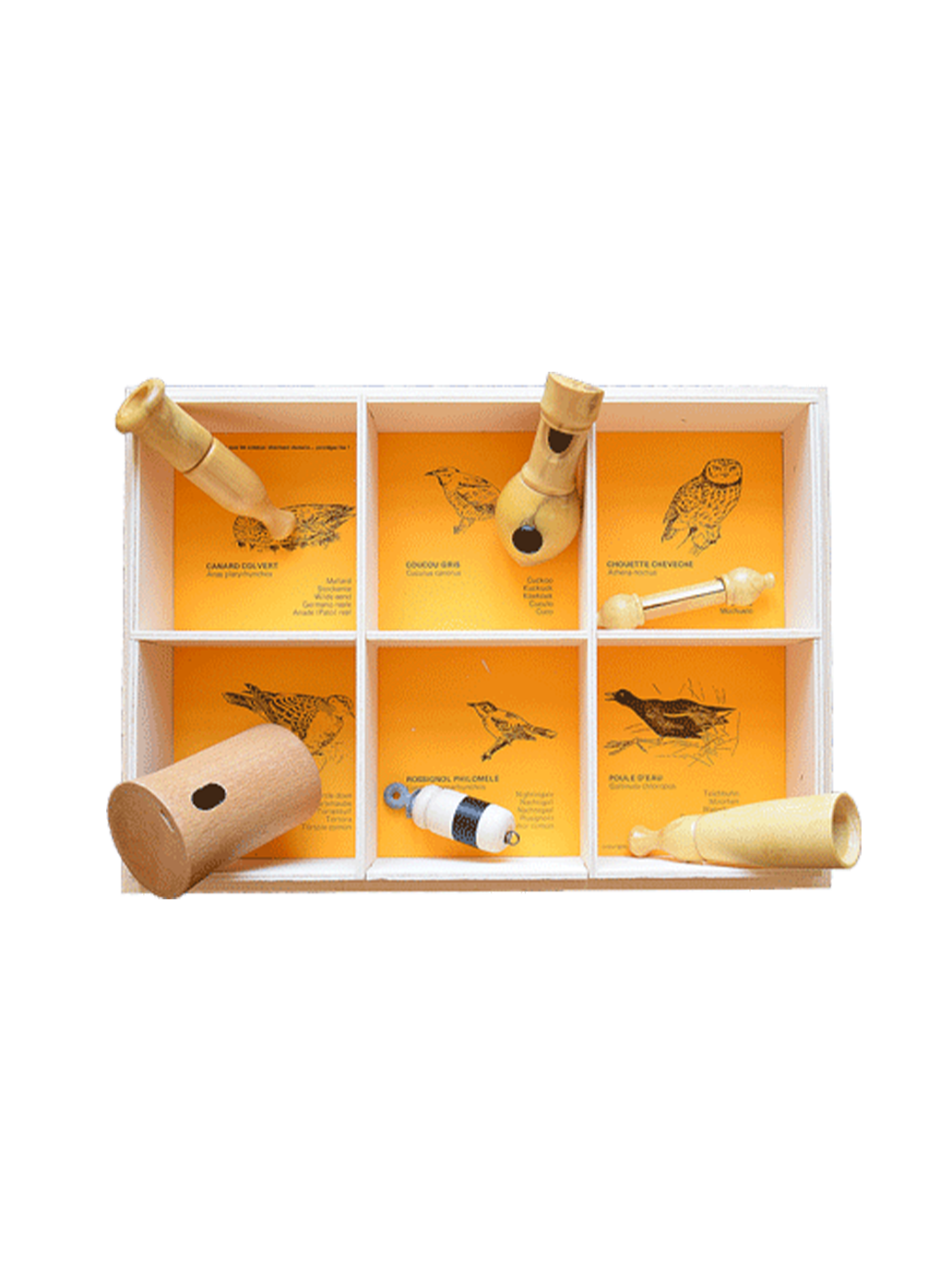 sada dřevěných nástrojů k napodobování zvuků ptáků