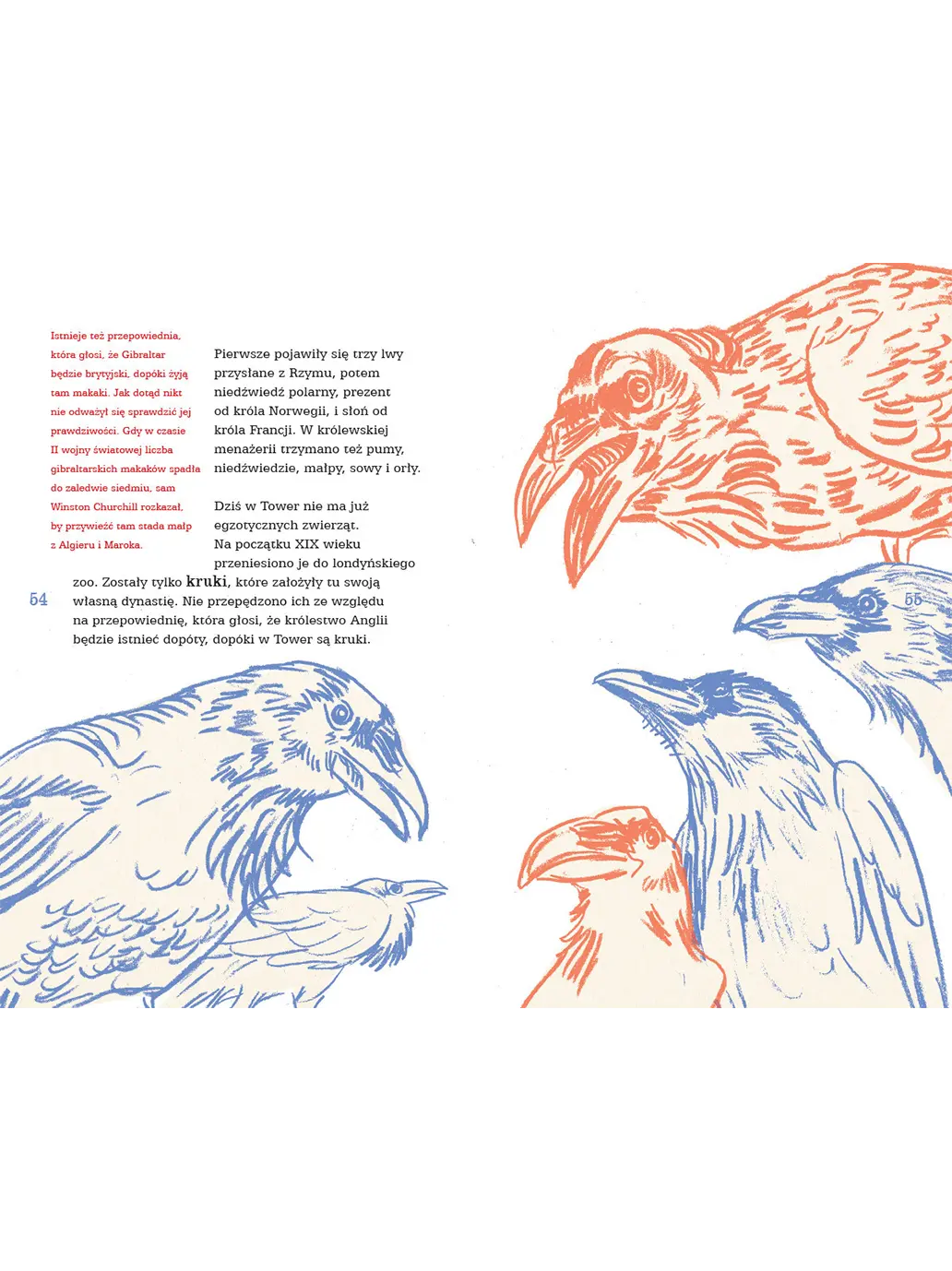 Great! Wielka Brytania dla dociekliwych Wydawnictwo Dwie Siostry BÉBÉ Concept