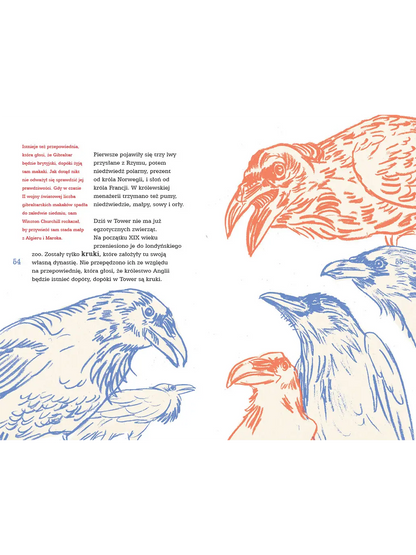 Great! Wielka Brytania dla dociekliwych Wydawnictwo Dwie Siostry BÉBÉ Concept