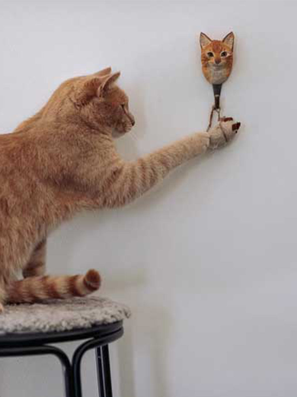 Drewniany haczyk Kot Wildlife Garden BÉBÉ Concept 