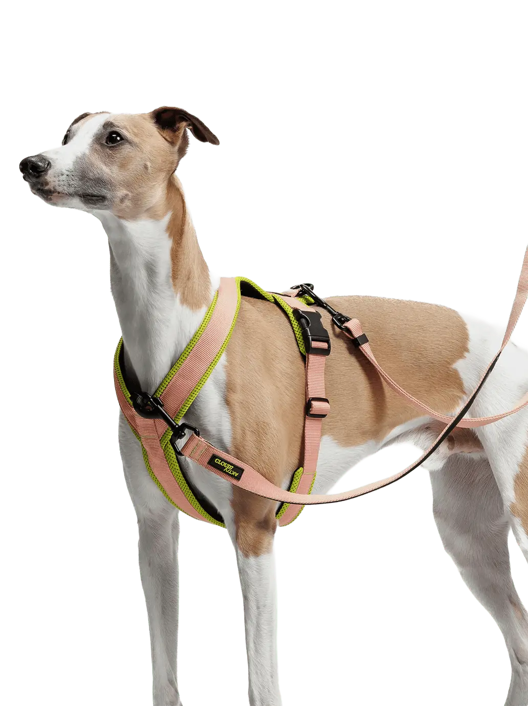 Smycz dla psa L-1 Hands free leash Aktiv Cloud7 BÉBÉ Concept 