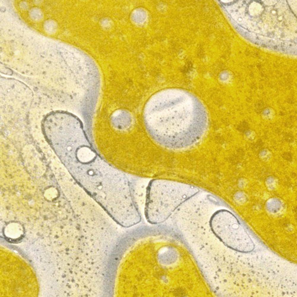 Odżywczy olejek do ciała Body Oil Betiyon BÉBÉ Concept