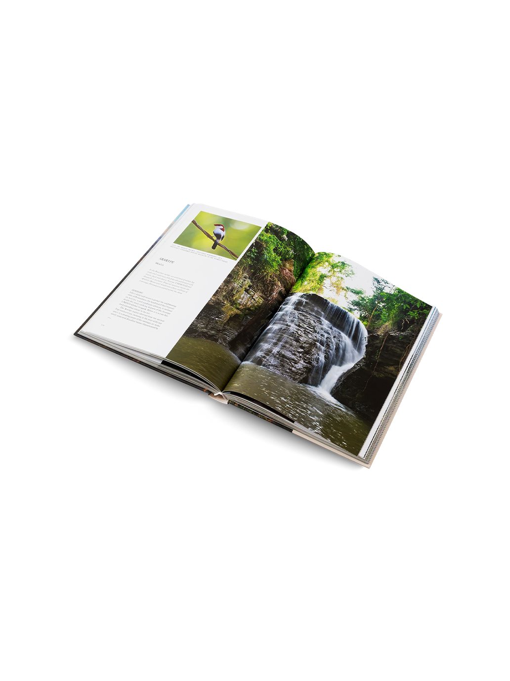 THE UNESCO GLOBAL GEOPARKS Gestalten BÉBÉ Concept 