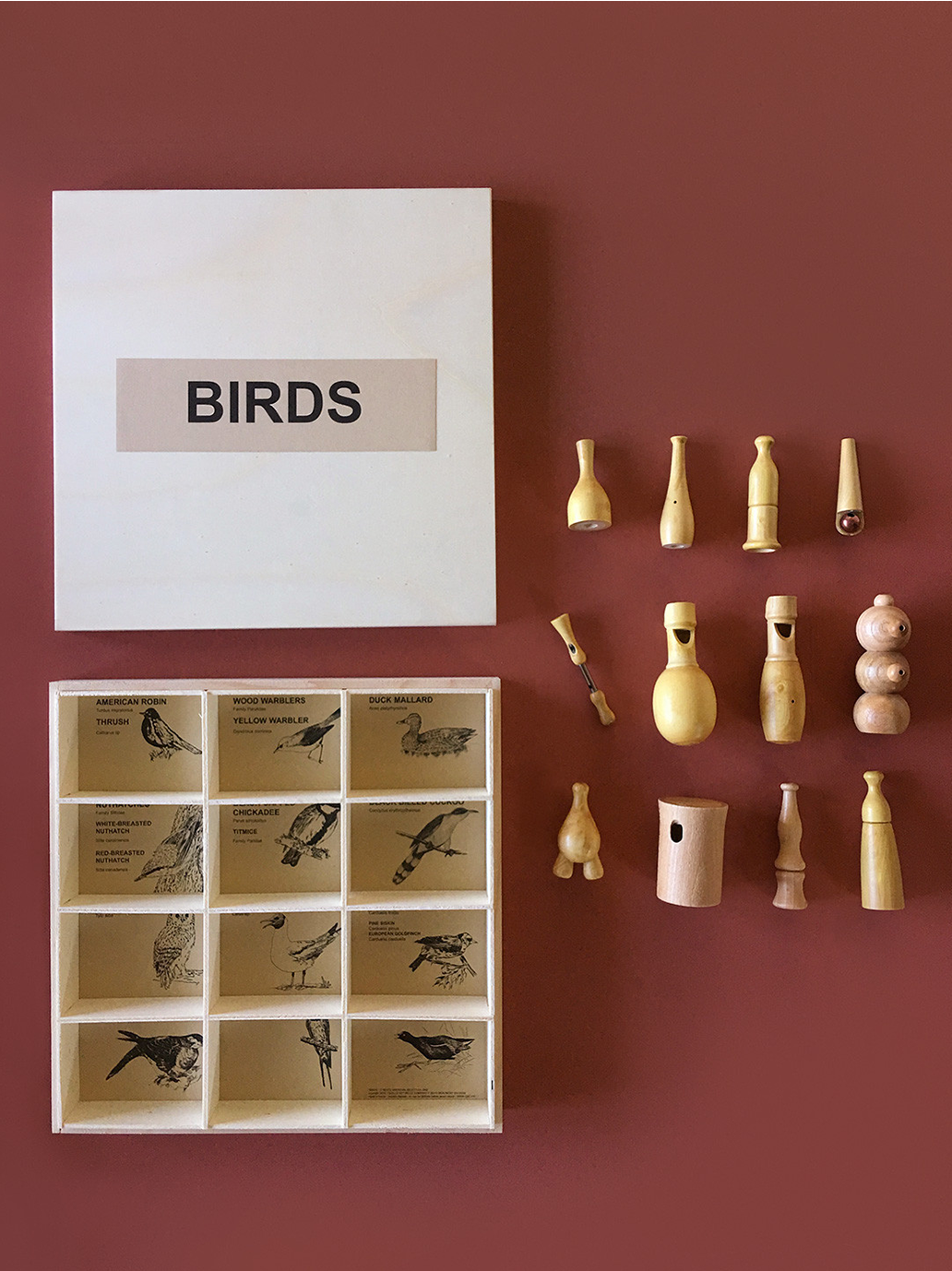 sada dřevěných nástrojů k napodobování zvuků ptáků