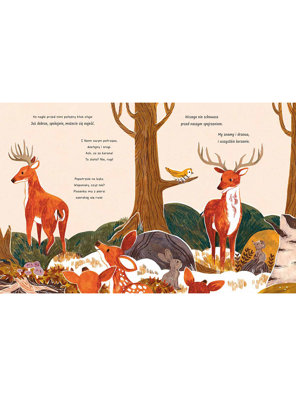 Cuda w lesie. Opowieści 5 minut przed snem Wydawnictwo Harper BÉBÉ Concept