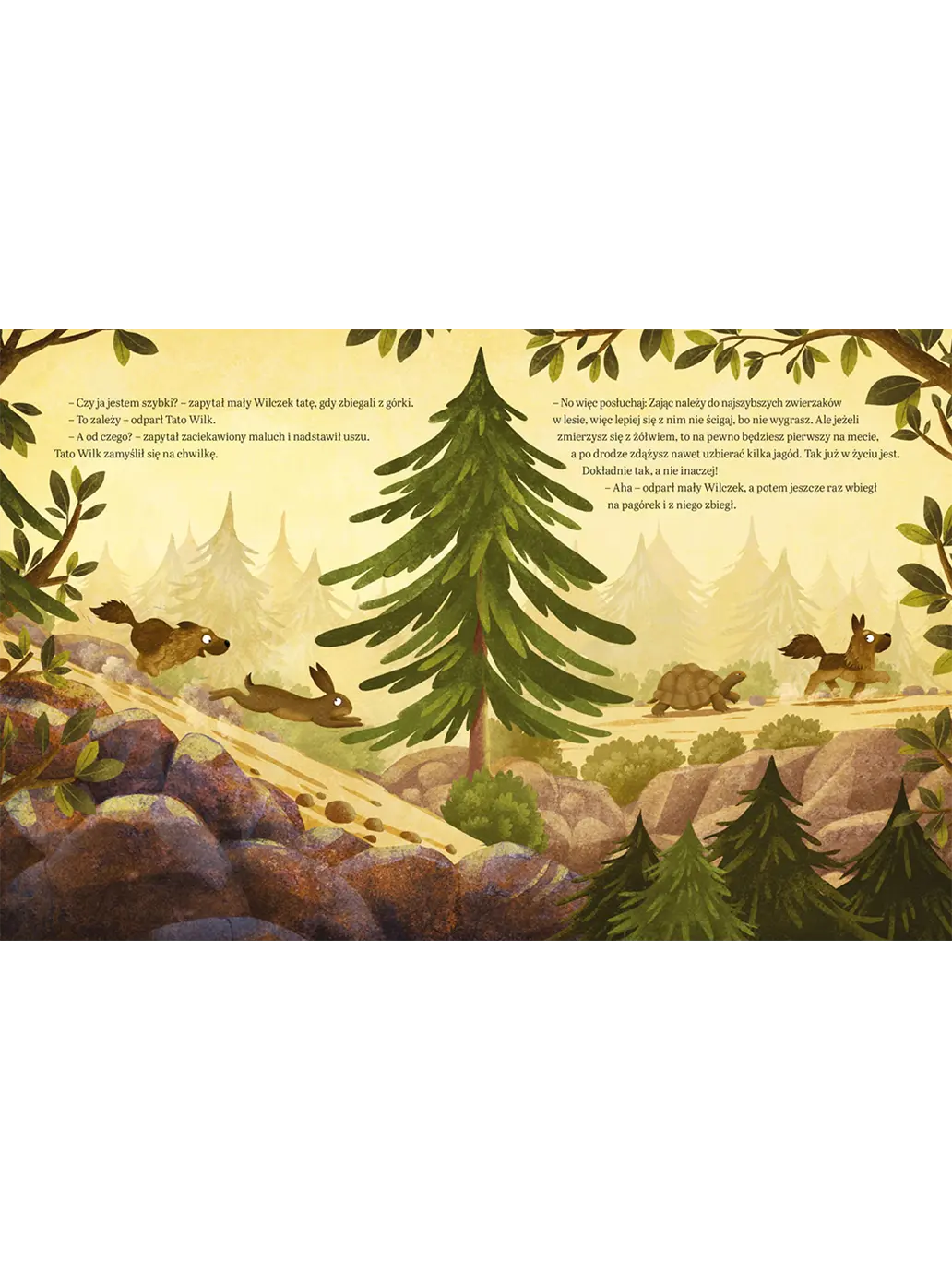 Tatusiu, czy dziesięć to dużo? Wydawnictwo Nasza Ksiegarnia BÉBÉ Concept