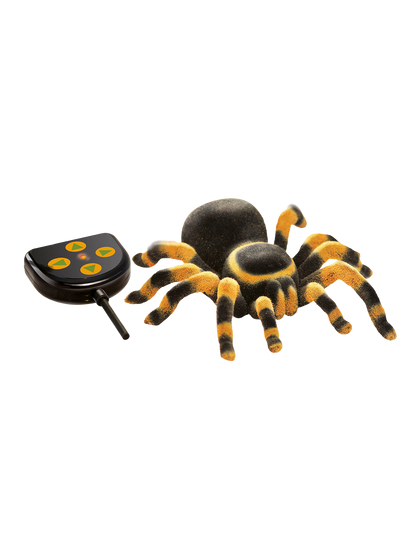 Tarantula na pilota Buki BÉBÉ Concept 