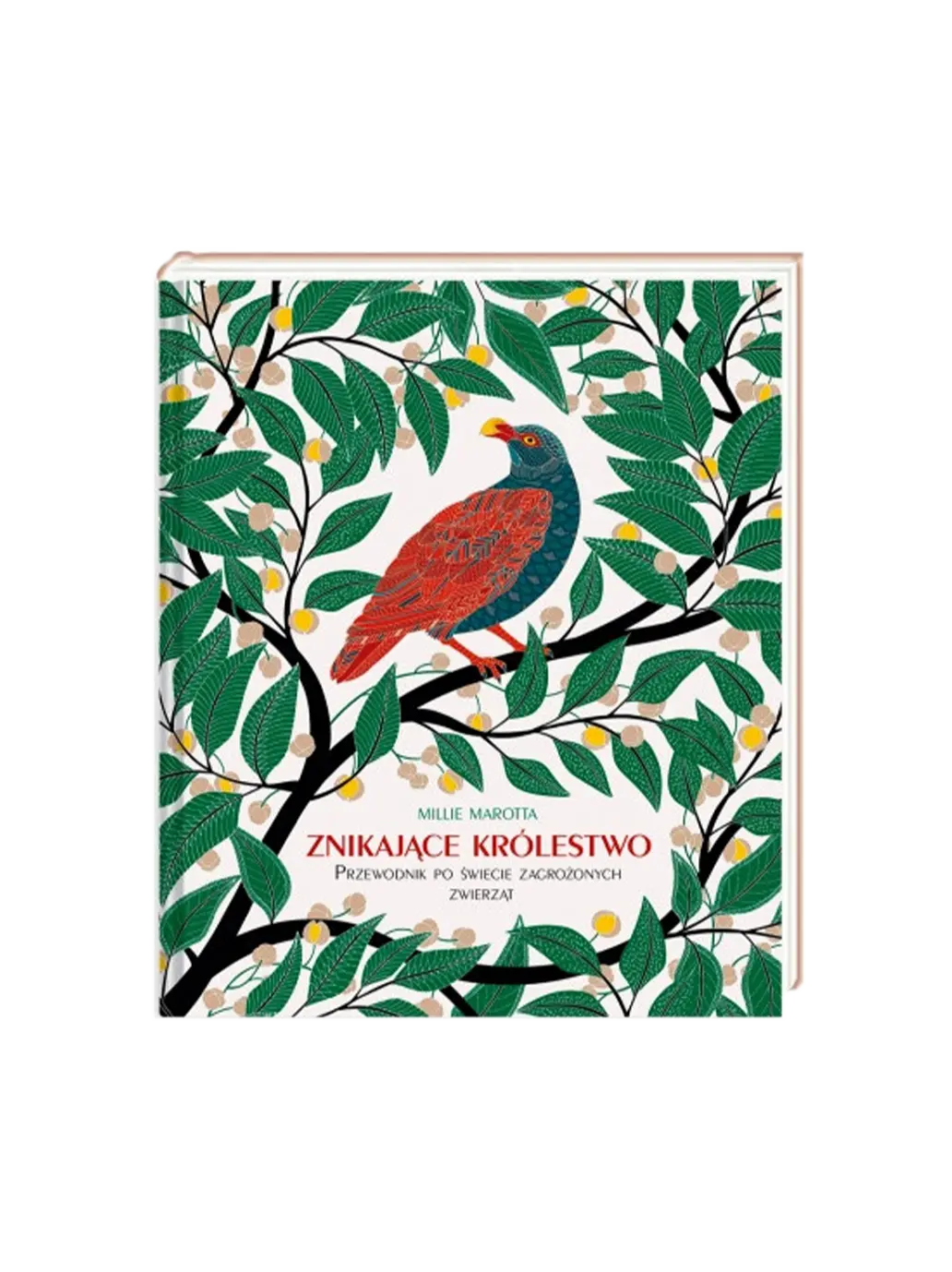 Znikające królestwo. Przewodnik po świecie zagrożonych zwierząt Wydawnictwo Nasza Ksiegarnia BÉBÉ Concept