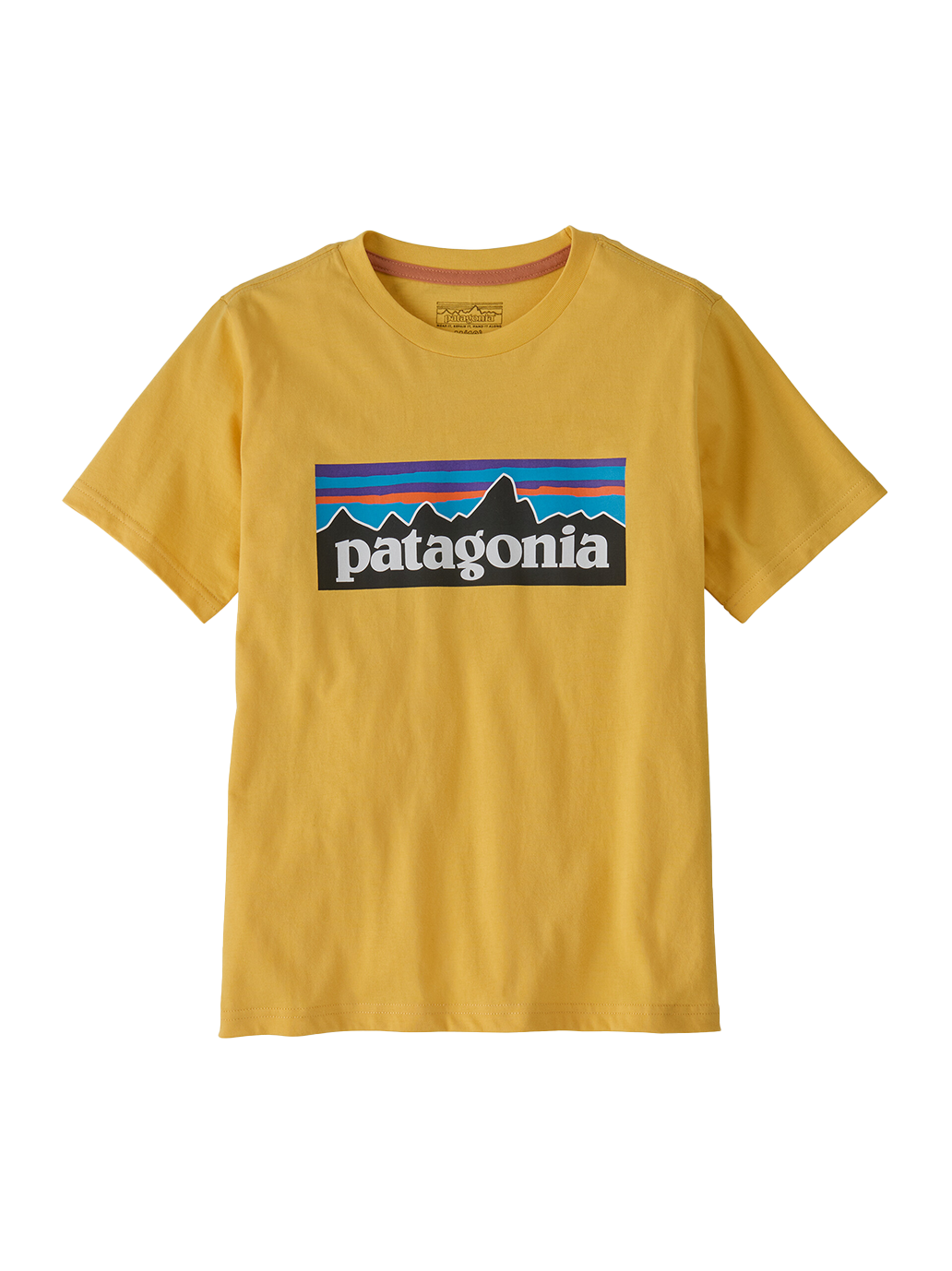 Koszulka kids P-6 Logo T-Shirt Patagonia BÉBÉ Concept 