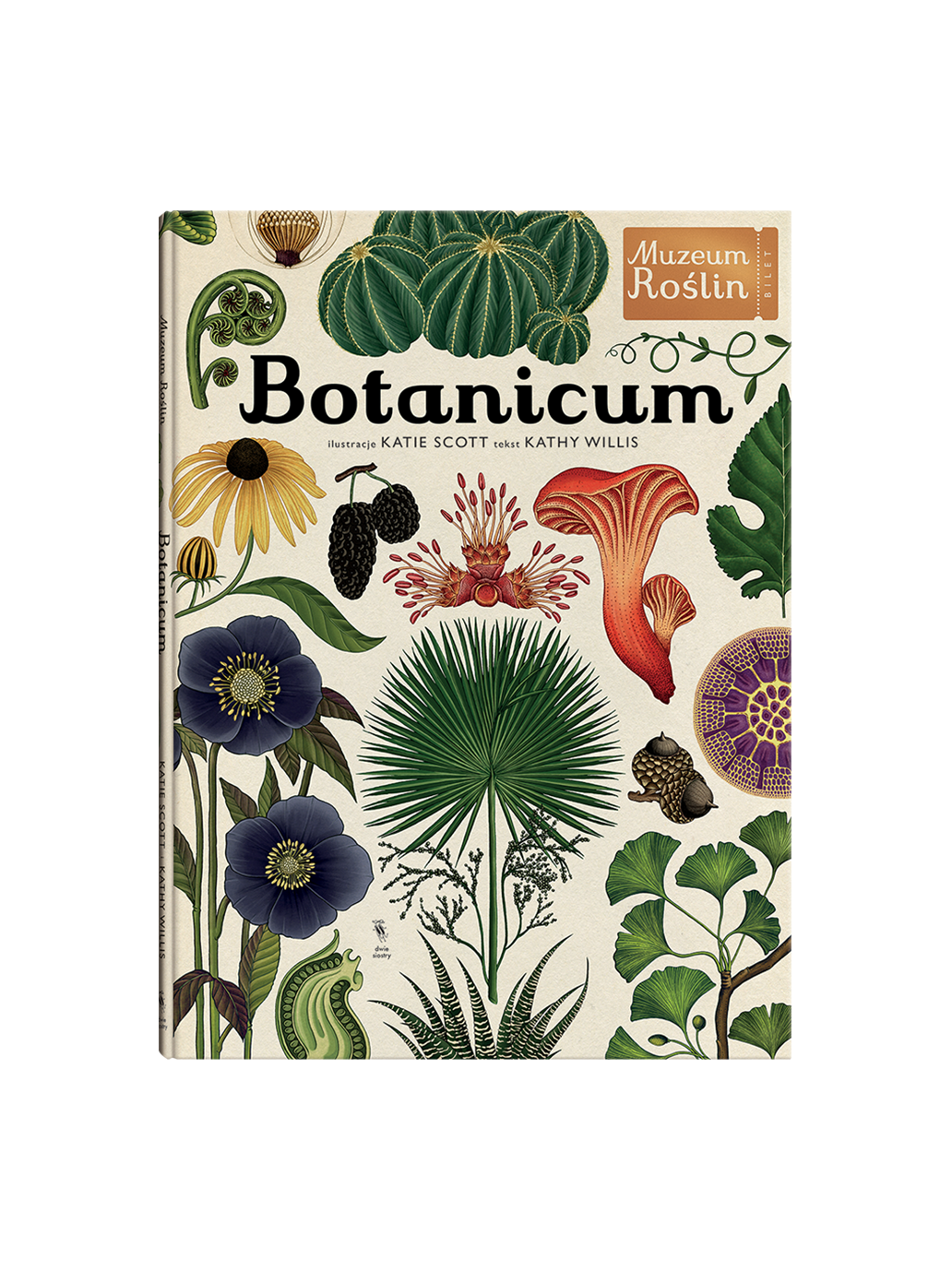 W Muzeum. Botanicum Wydawnictwo Dwie Siostry BÉBÉ Concept
