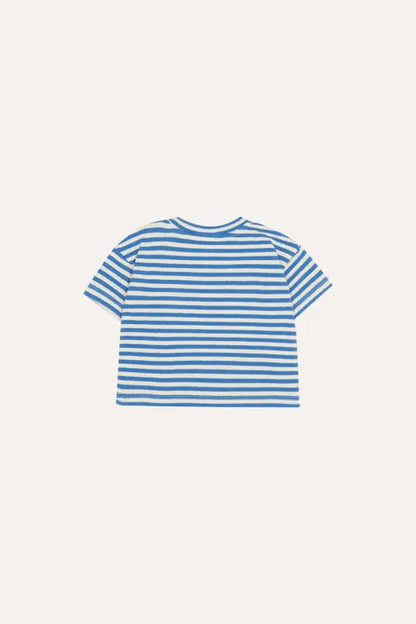 Blue Stripes Baby Tshirt The Campamento BEBE Concept 