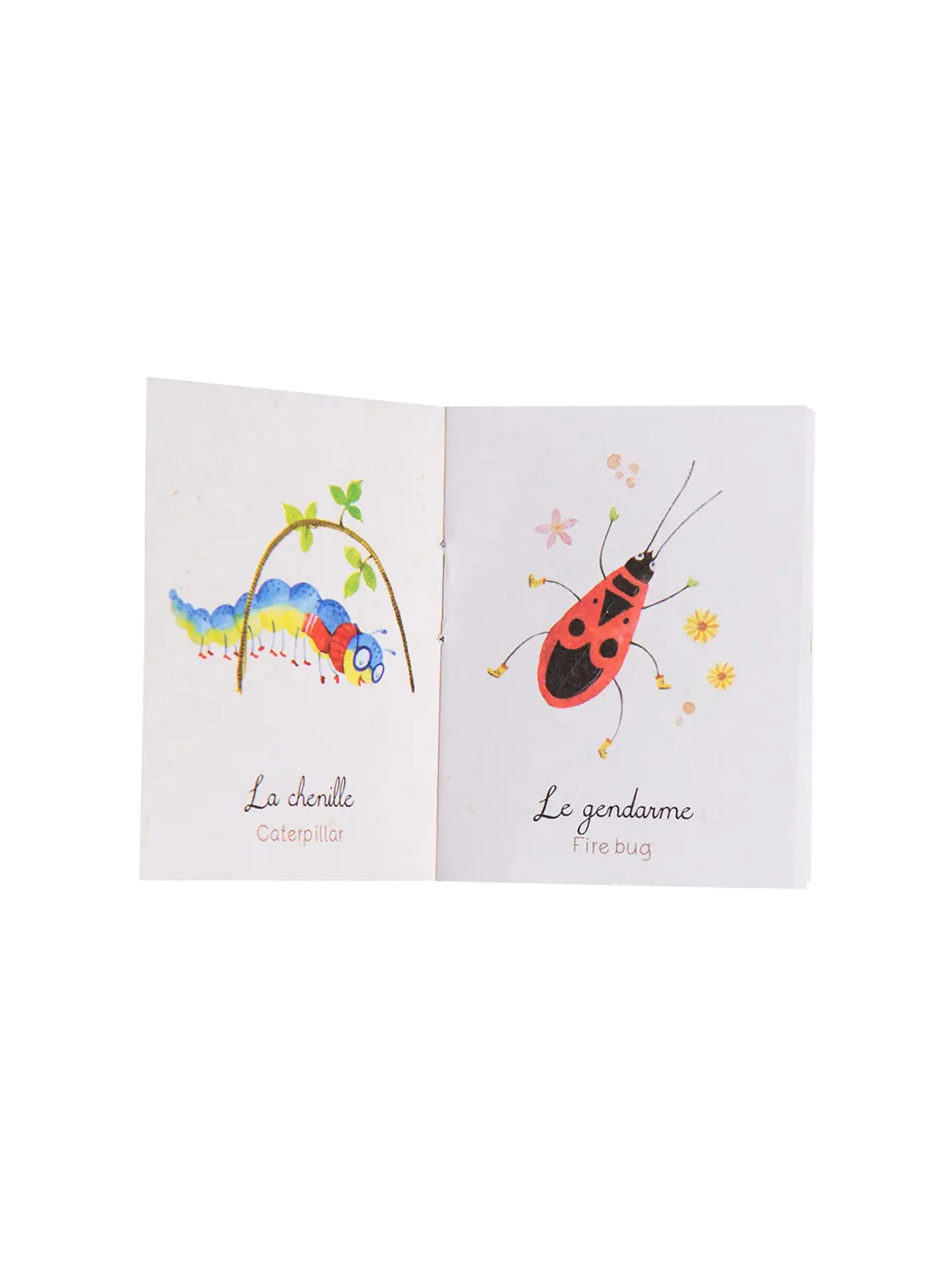 latarka projektor z książeczkami Le Jardin Moulin Roty BÉBÉ Concept