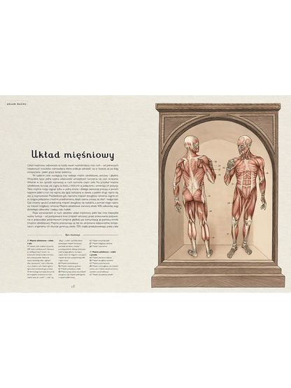W Muzeum. Anatomicum Wydawnictwo Dwie Siostry BÉBÉ Concept