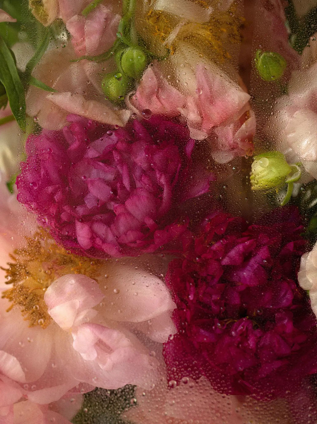 Szampon do włosów Foundation Shampoo RŌZ BÉBÉ Concept