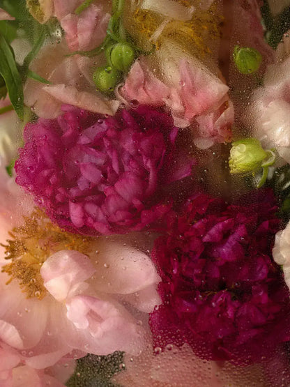 OUTLET Szampon do włosów Foundation Shampoo bébé concept BÉBÉ Concept 