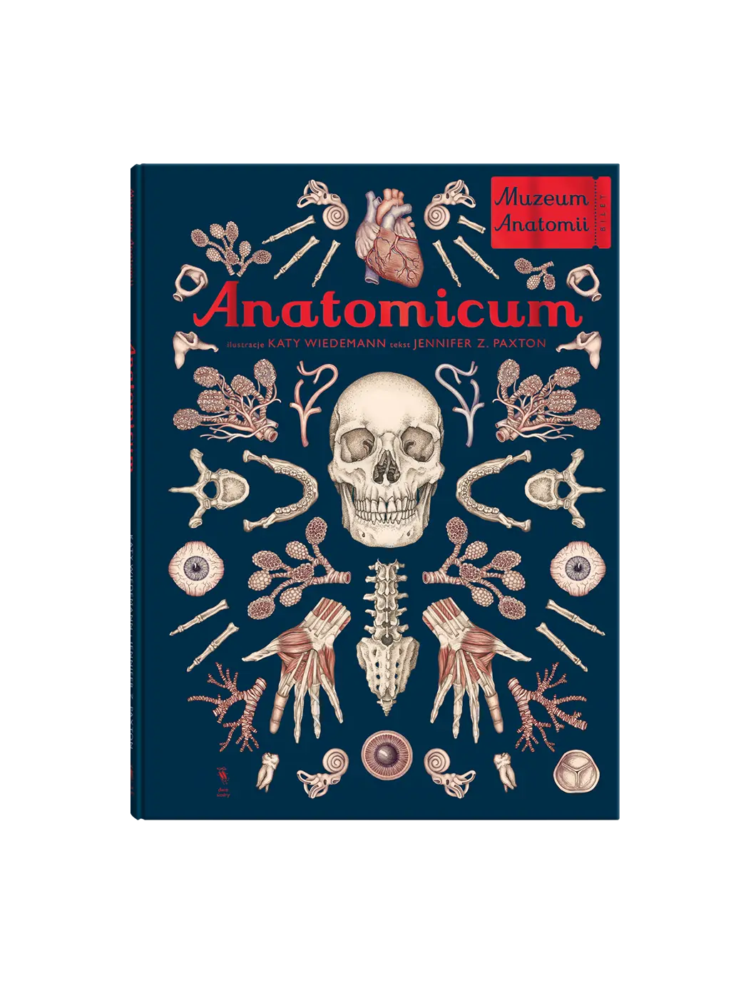 W Muzeum. Anatomicum Wydawnictwo Dwie Siostry BÉBÉ Concept