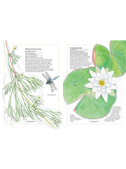 Ilustrowany inwentarz kwiatów Wydawnictwo Zakamarki BÉBÉ Concept