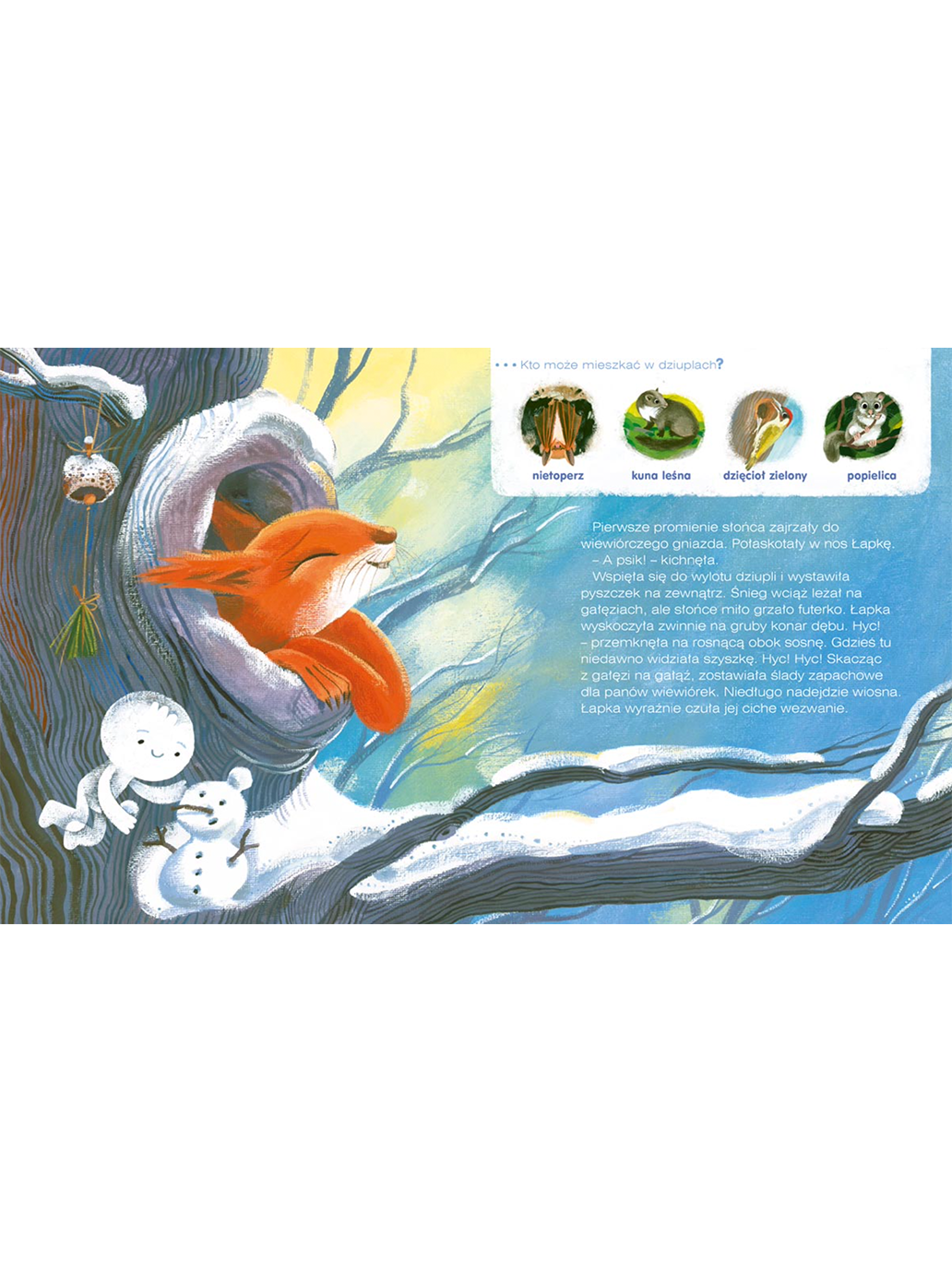 Wiewiórka z lasu Wydawnictwo Nasza Ksiegarnia BÉBÉ Concept