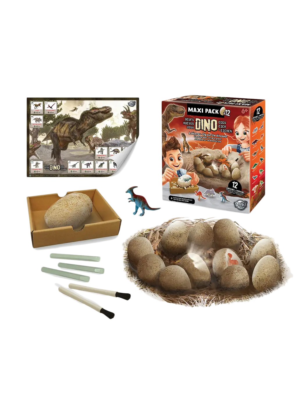 Mały archeolog Buki BÉBÉ Concept