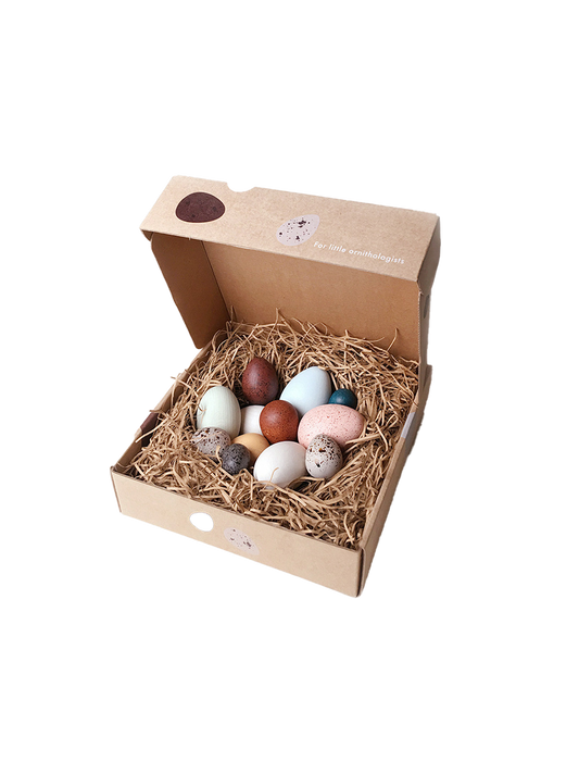 dřevěná vejce v krabičce Tucet ptačích vajíček