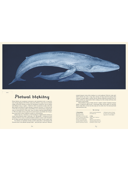 W Muzeum. Oceanarium Wydawnictwo Dwie Siostry BÉBÉ Concept