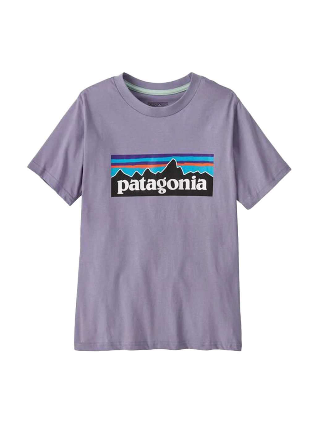 Koszulka kids P-6 Logo T-Shirt Patagonia BÉBÉ Concept 
