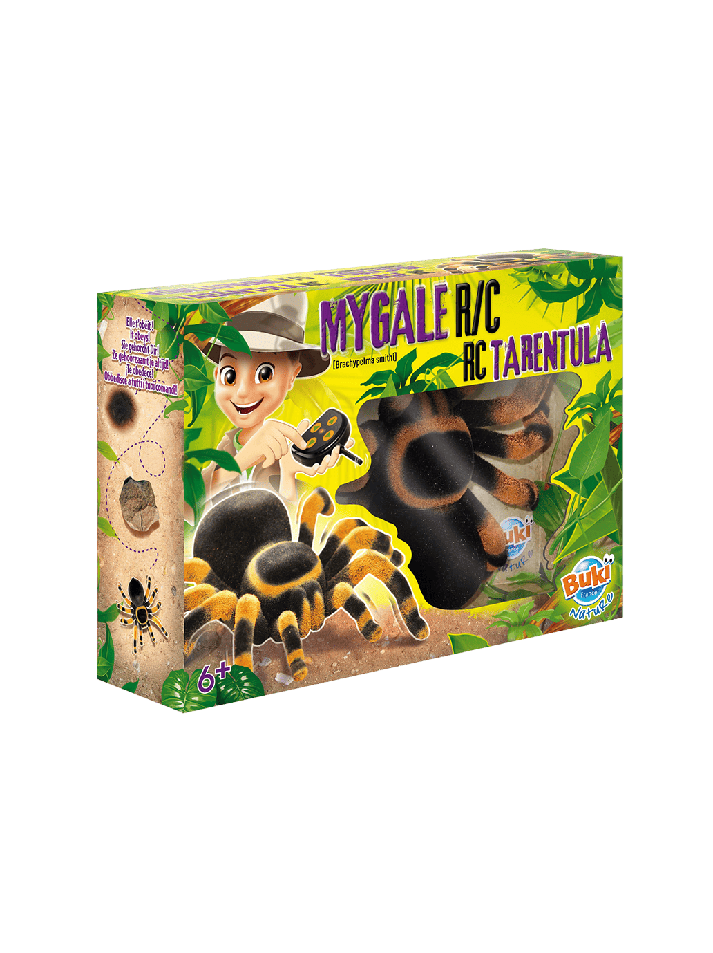 Tarantula na pilota Buki BÉBÉ Concept 