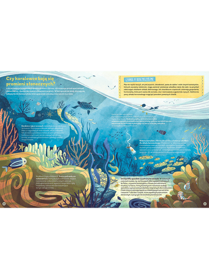 Dlaczego orangutany nie lubią pasty do zębów? Wydawnictwo Kropka BÉBÉ Concept