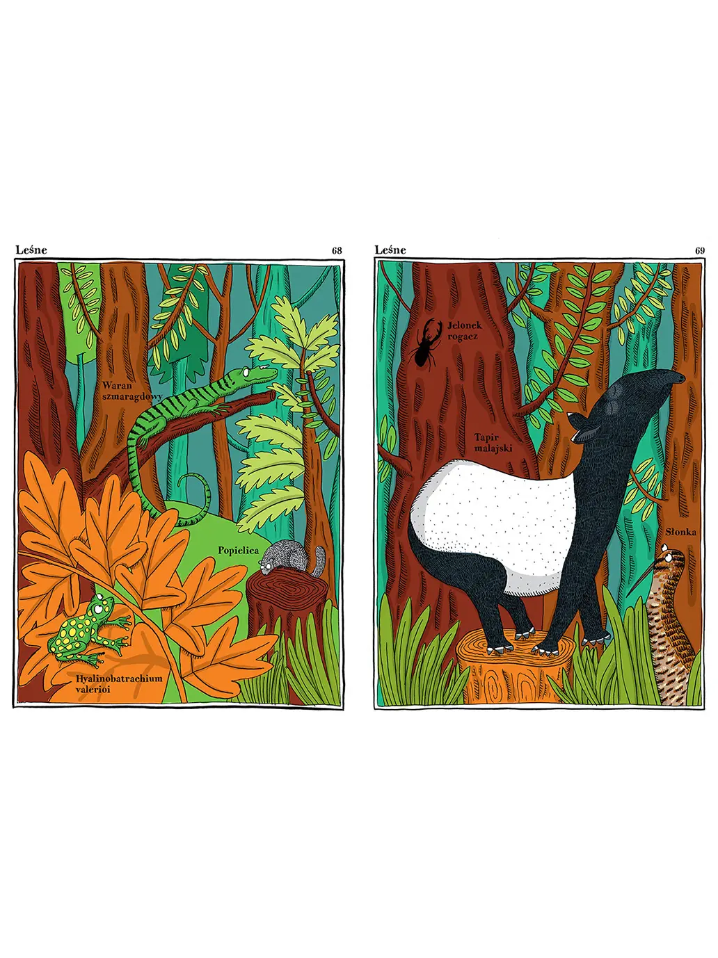 Narwańcy, uwodziciele, samotnicy Wydawnictwo Dwie Siostry BÉBÉ Concept