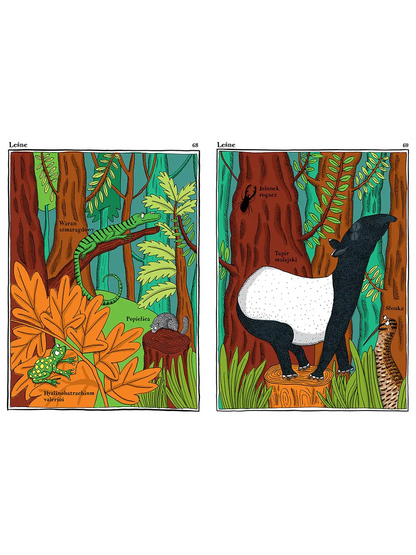 Narwańcy, uwodziciele, samotnicy Wydawnictwo Dwie Siostry BÉBÉ Concept