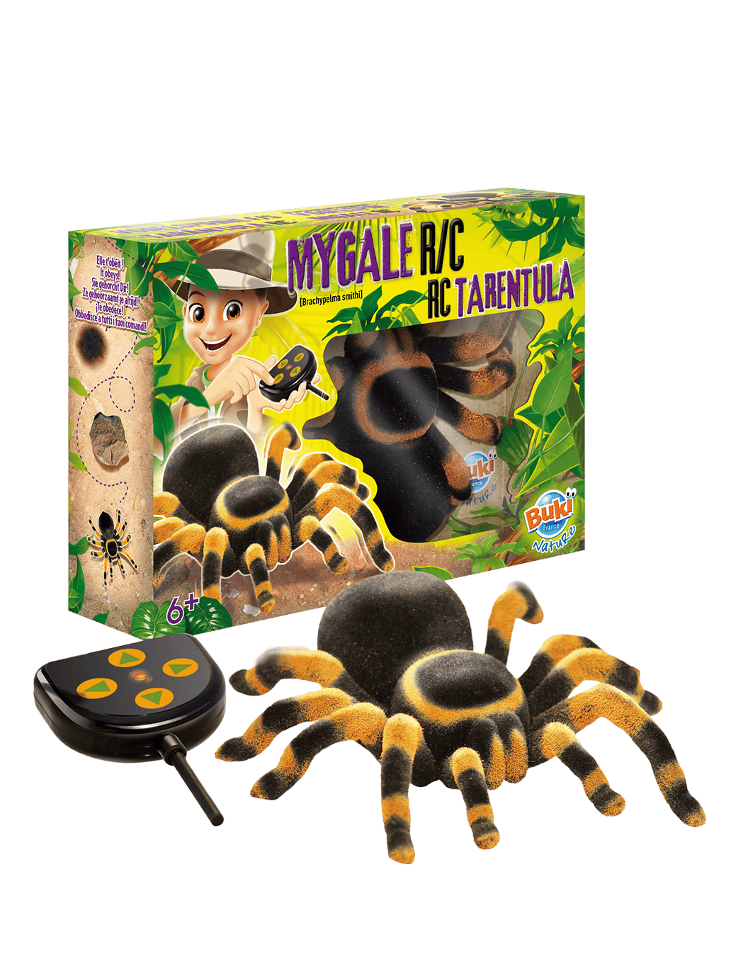 Tarantula na pilota Buki BÉBÉ Concept 