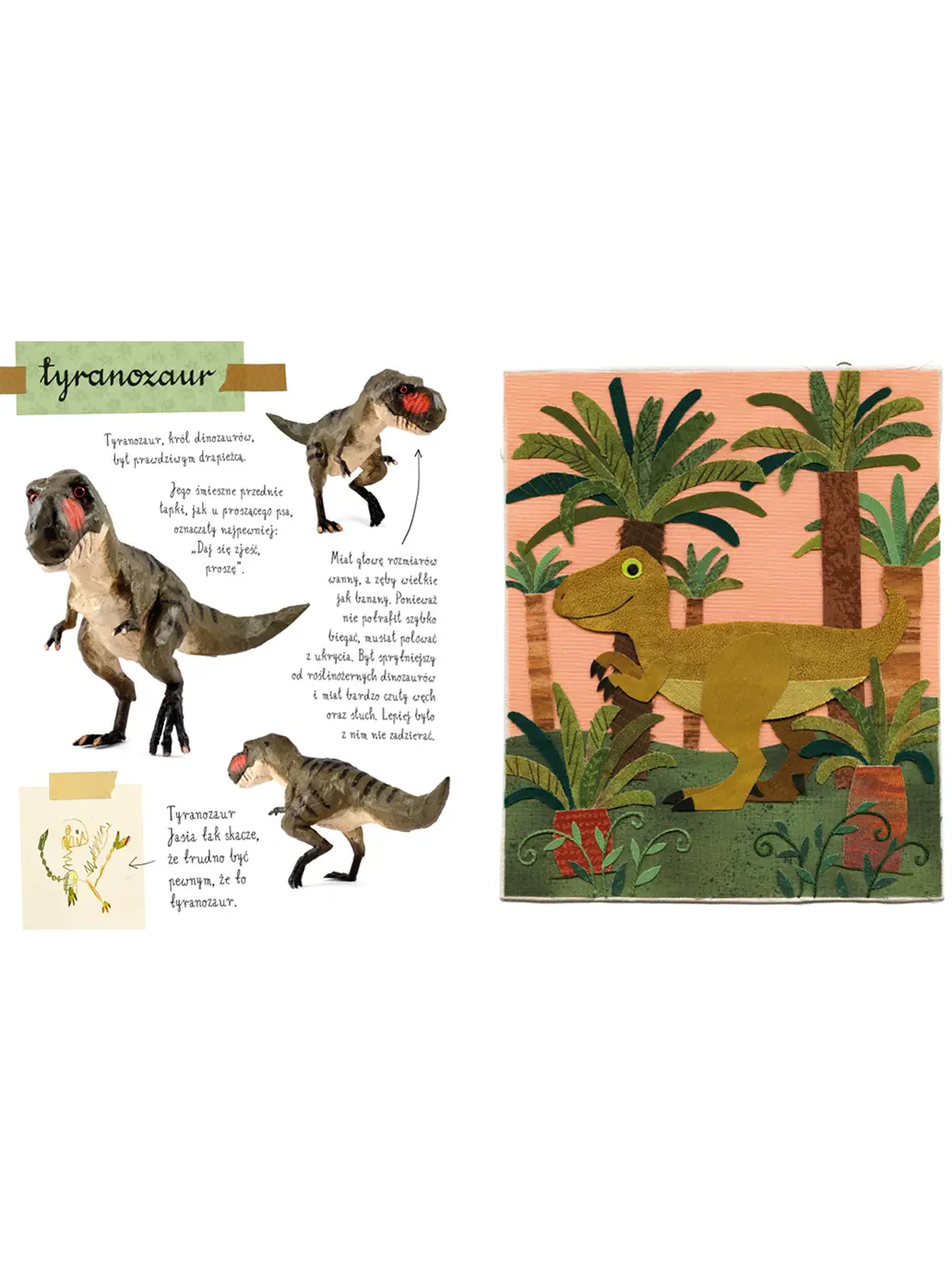 Mały atlas dinozaurów Ewy i Pawła Pawlaków Wydawnictwo Nasza Ksiegarnia BÉBÉ Concept 