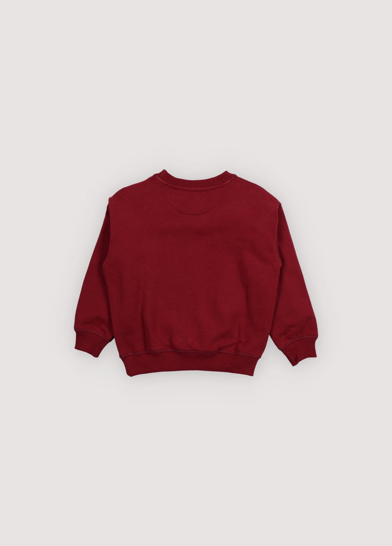 Bluza TNS Logo Sweatshirt The New Society BÉBÉ Concept 