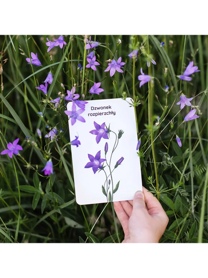 Edukacyjne karty spacerowe Nanuki BÉBÉ Concept 