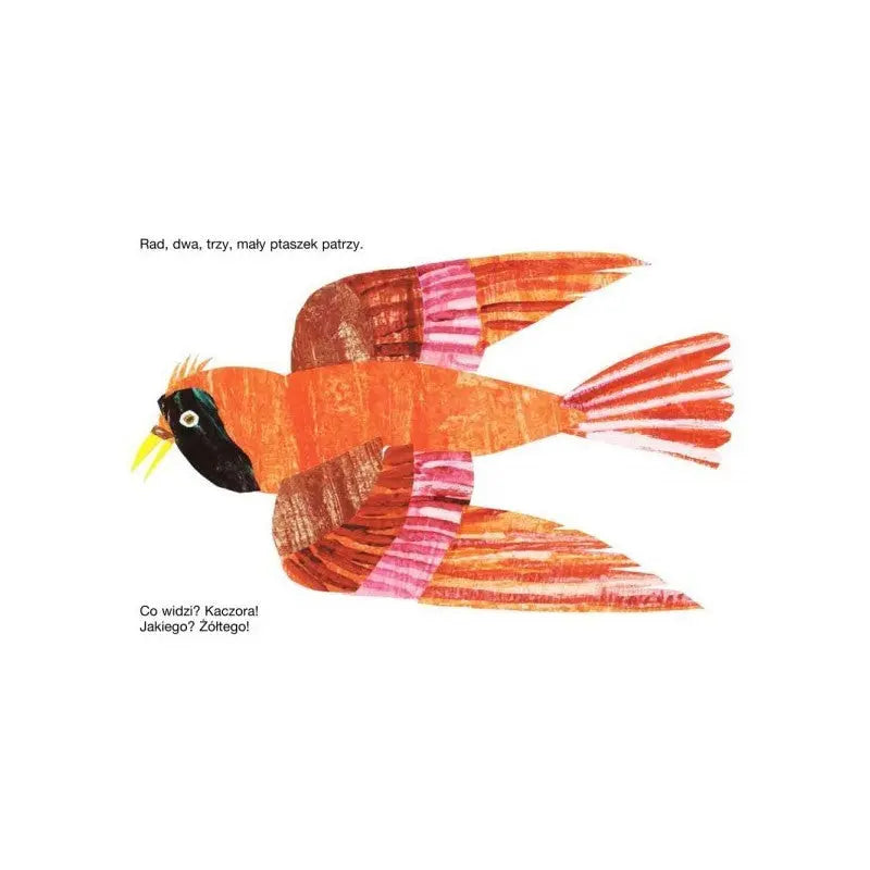 Miś Patrzy! Wydawnictwo Tatarak BÉBÉ Concept